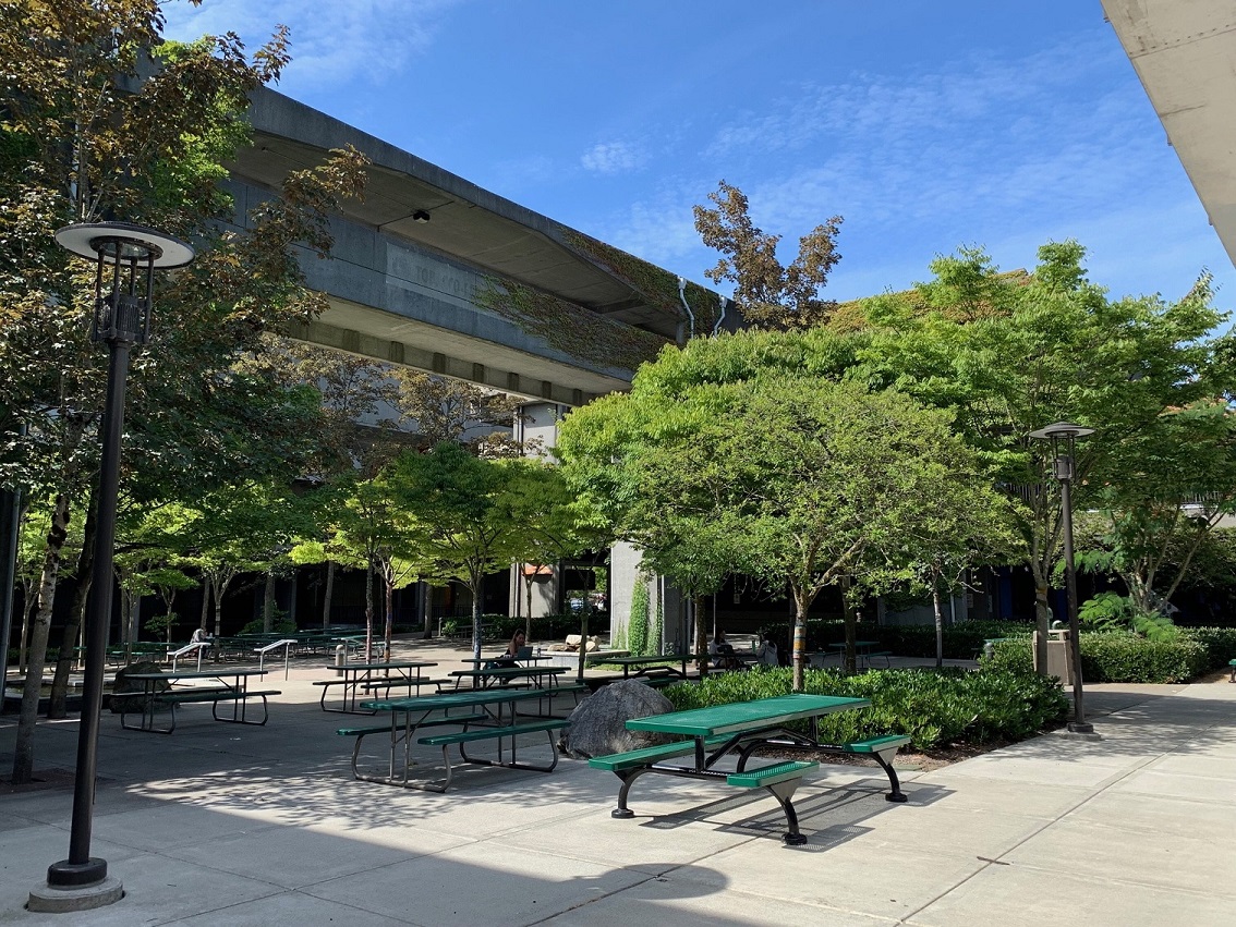 trees and green bench in north seattle college courtyard