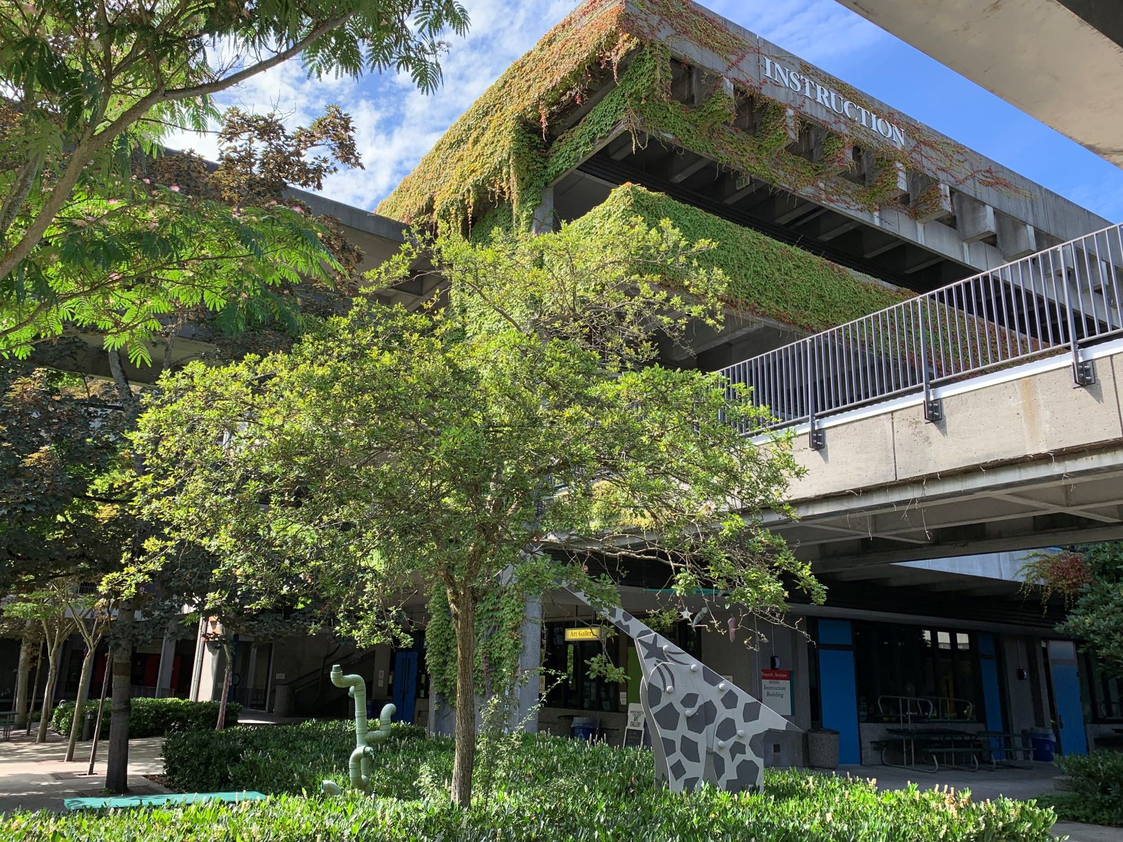 trees with concrete building